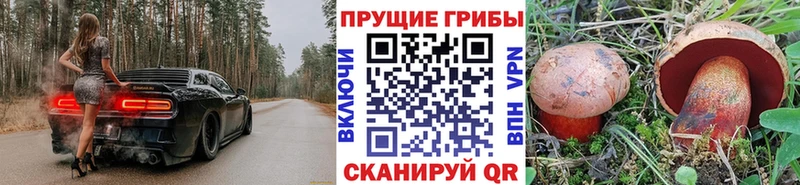 Галлюциногенные грибы GOLDEN TEACHER  Мосальск 