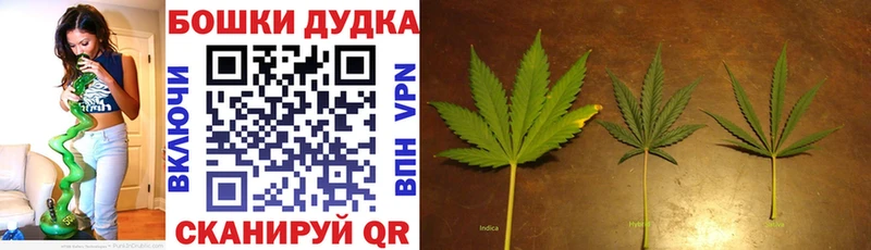 продажа наркотиков  Мосальск  blacksprut ССЫЛКА  МАРИХУАНА марихуана 